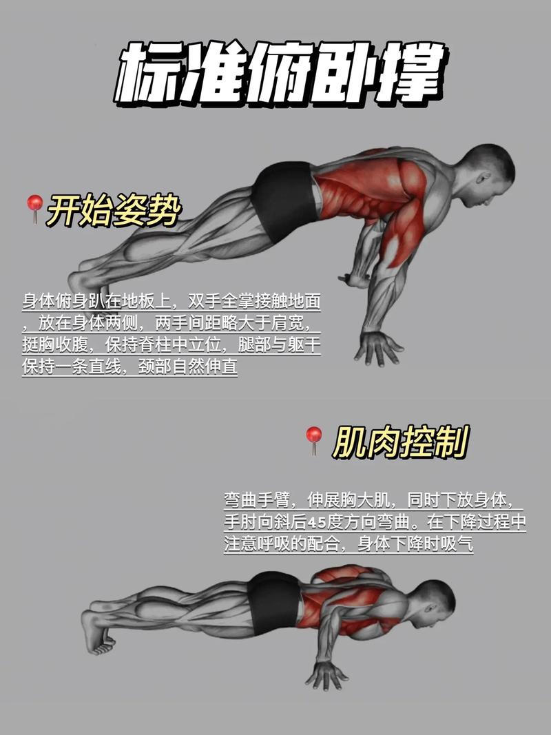 28天男士上身减脂计划：科学甩掉赘肉塑线条  