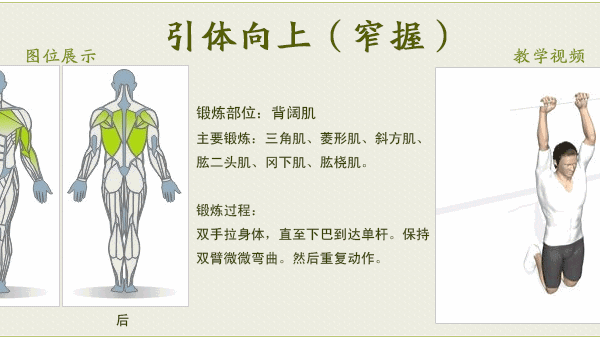 引体向上增肌减脂的双效黄金动作