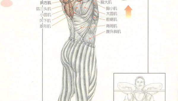 往返跑高效减脂计划全攻略