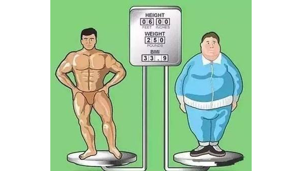 减脂健身常识:科学瘦身不反弹的实用指南