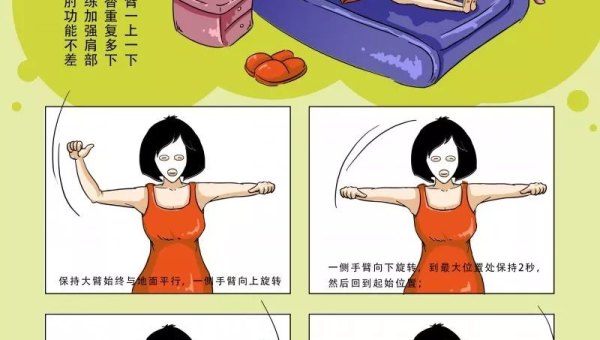 科学健身指南打造完美身材的黄金法则